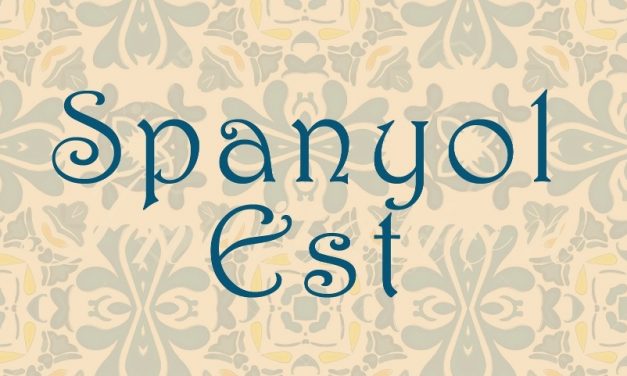 Jótékonysági spanyol est