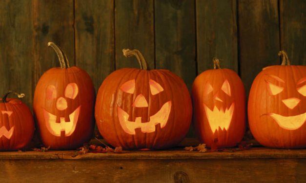 Tökvicsori-készítés a Zenben