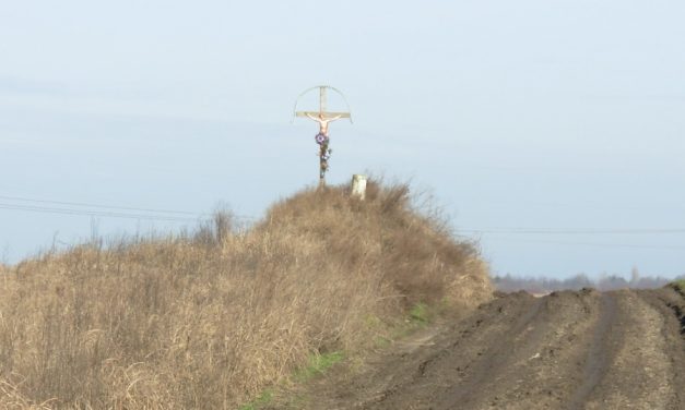 Életmód egy órában