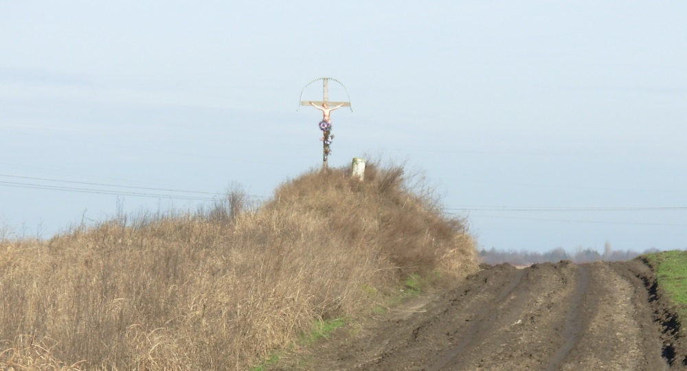 Életmód egy órában