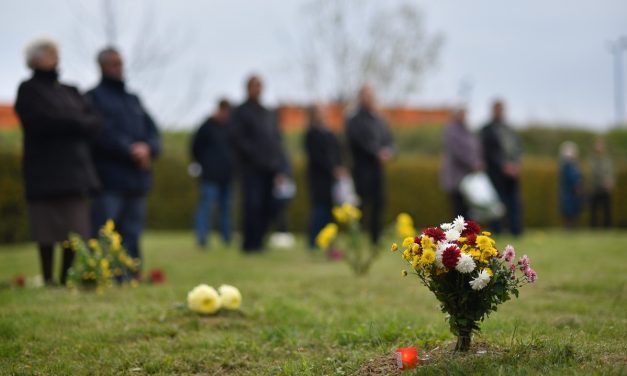 Főhajtás az Akácfánál és a Vergődő madár szobornál