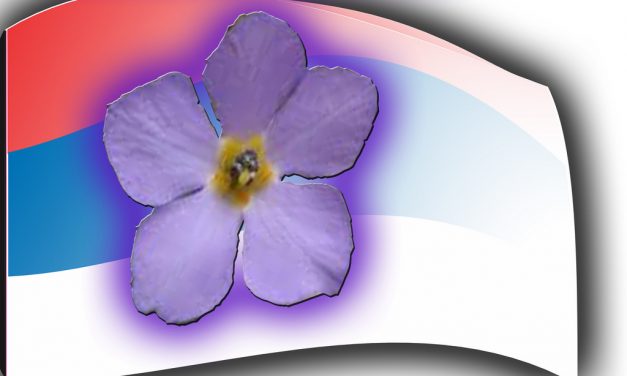 A megbékélés napjának ünnepe