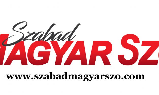 Moholra került az ajándékunk