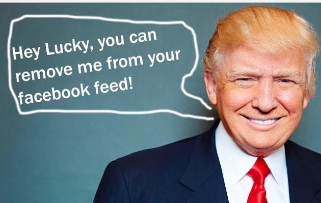 <span class="entry-title-primary">Vége szakadhat az álhírterjesztésnek?!</span> <span class="entry-subtitle">Trump megmutatta, milyen hatékony fegyver a hoax, a Google és a Facebook most ellenlépéseket tett</span>