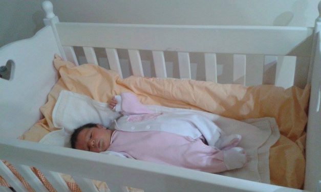 Újabb vándorbölcsőt kapott a Kolibri