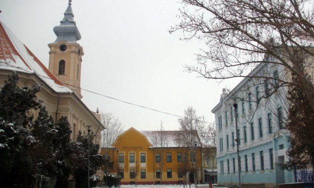 VMSZ-es magyar képviselő magyar érdek ellen szavazott Törökbecsén?