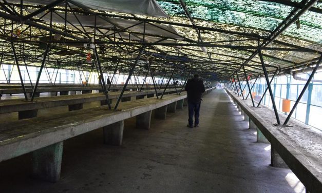 Tájkép ünnep után