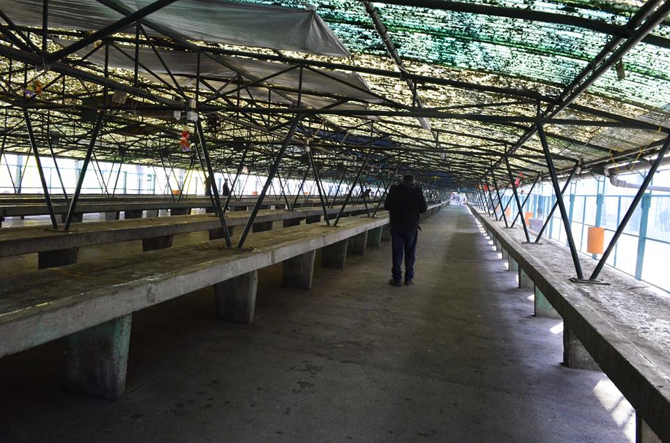 Tájkép ünnep után