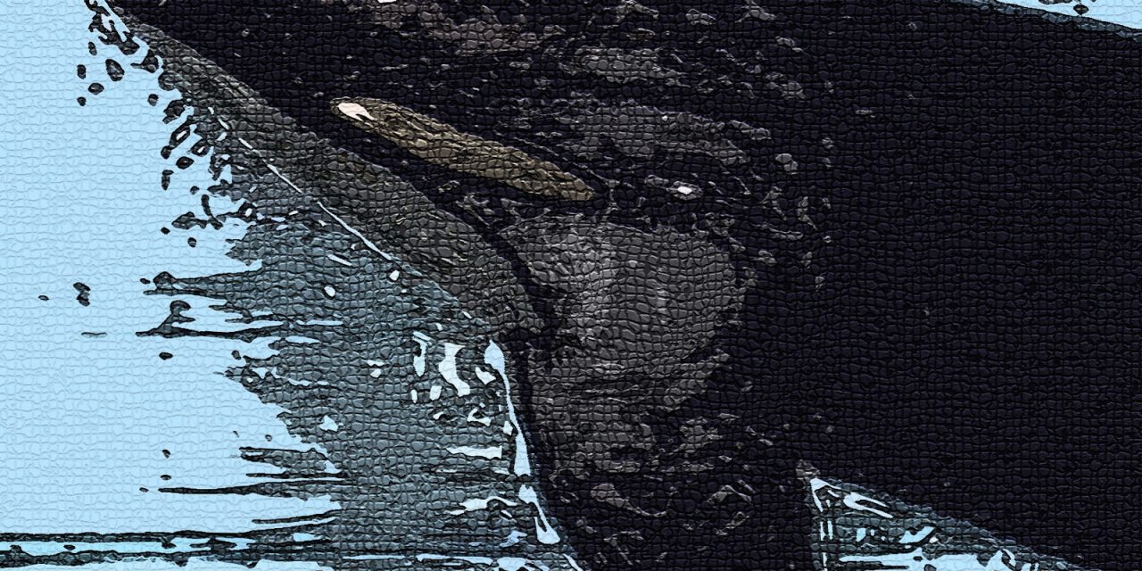 <span class="entry-title-primary">A játék előtt</span> <span class="entry-subtitle">Vasko Popa verse a játékok című ciklusból</span>