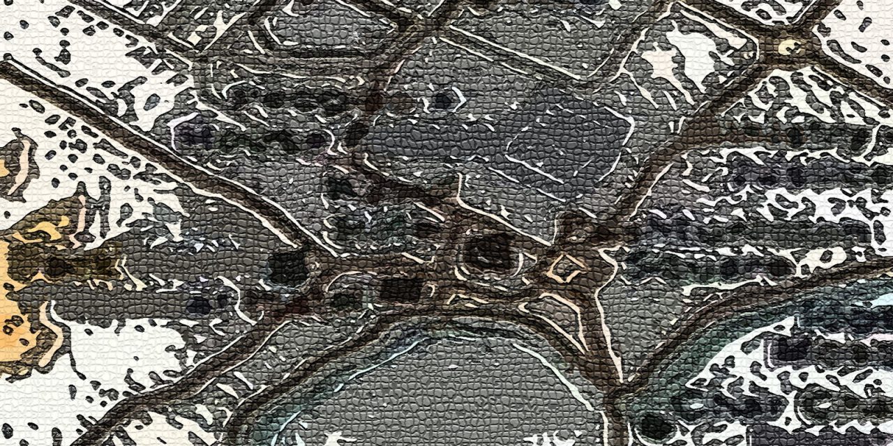 <span class="entry-title-primary">díszben</span> <span class="entry-subtitle">Bartha György verse</span>