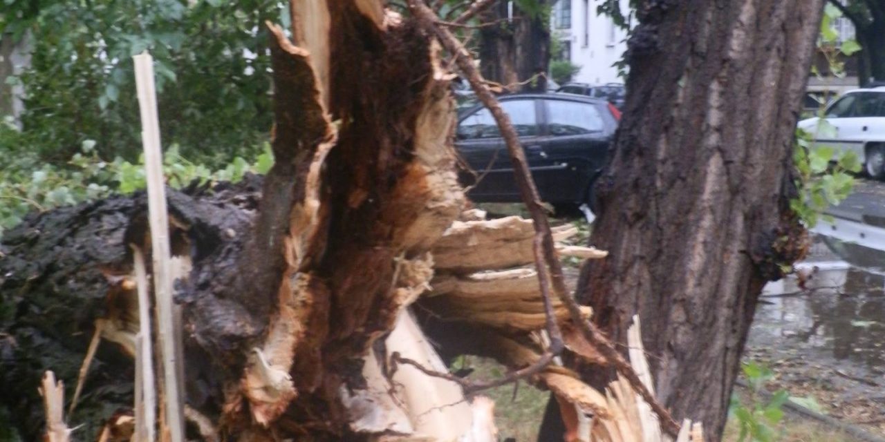 <span class="entry-title-primary">Három tragikus végű strófa</span> <span class="entry-subtitle">Jan Krasni verse</span>