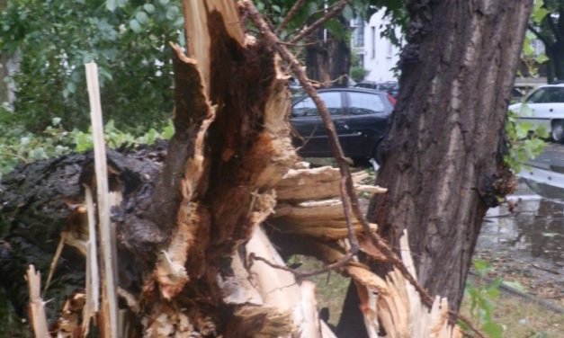 Három tragikus végű strófa