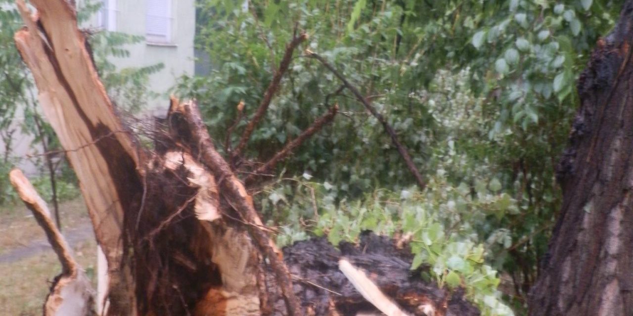 <span class="entry-title-primary">Összebuvó félelem órái</span> <span class="entry-subtitle">Ady Endre verse</span>