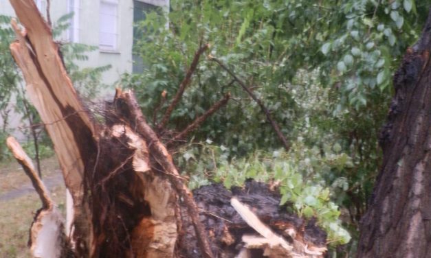 Összebuvó félelem órái