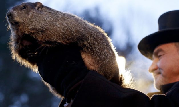 <span class="entry-title-primary">Ki nyer ma?</span> <span class="entry-subtitle">Medve- és mormota-meteorológia egy percben</span>