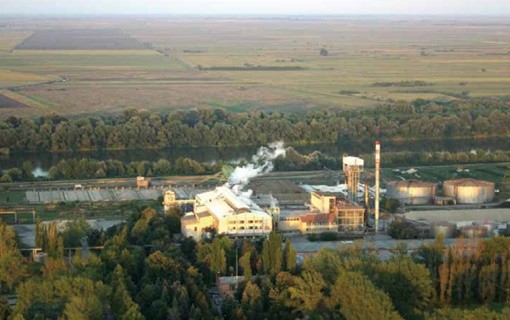 Hogyan csapták be a zentai cukorgyár dolgozóit?