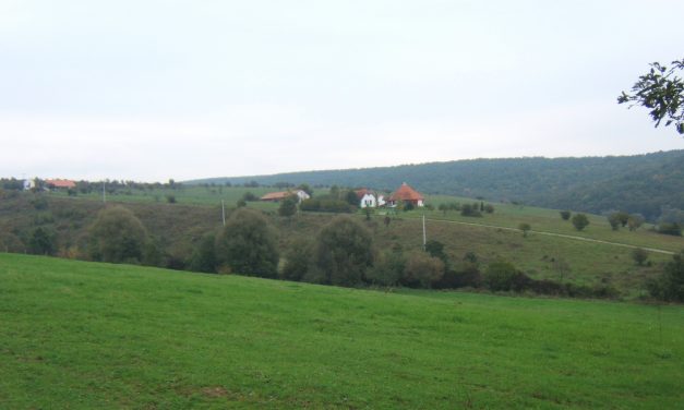 Az önfenntartó közösségek működnek