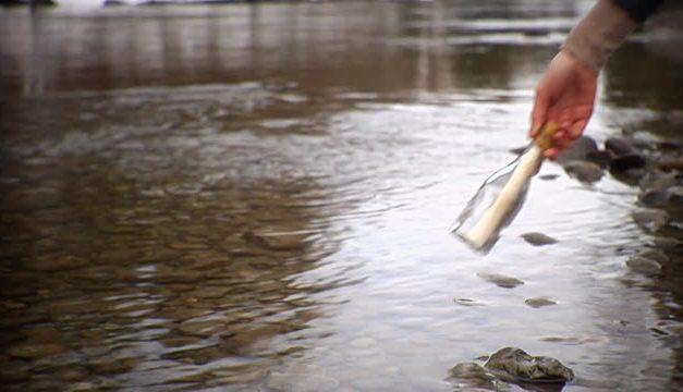 <span class="entry-title-primary">Üzenet a palackban</span> <span class="entry-subtitle">Vérrel írt szavakkal kértek segítséget Csongrádból – Szegeden is kiállítják a Vajdaságban kihalászott és Zentán őrzött palackpostát</span>