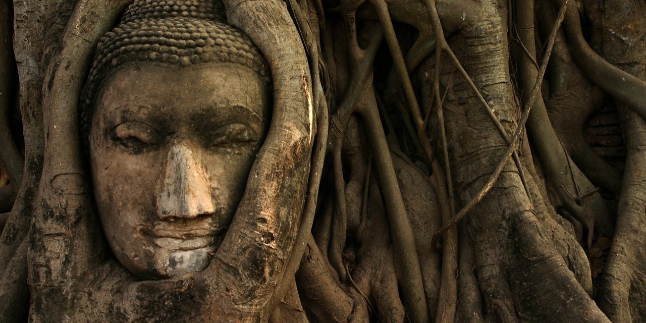 <span class="entry-title-primary">Szárnyasbetét</span> <span class="entry-subtitle">Gulisio Tímea verse</span>