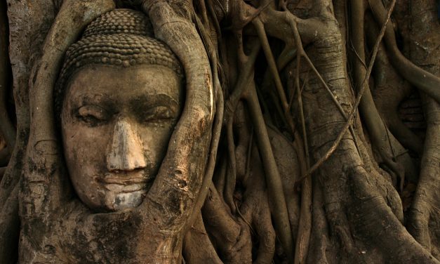 <span class="entry-title-primary">Szárnyasbetét</span> <span class="entry-subtitle">Gulisio Tímea verse</span>