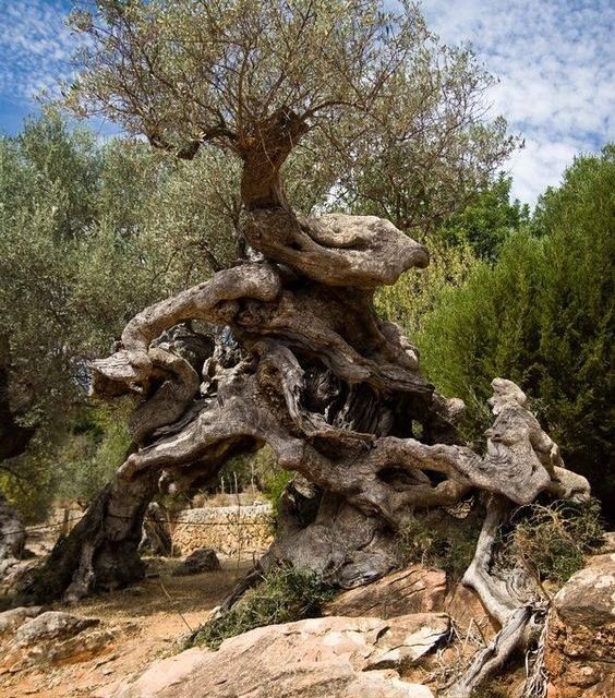 <span class="entry-title-primary">Így szőrtelenítenek a férfiak</span> <span class="entry-subtitle">A jégkrém meglehetősen gyorsan elolvad és az égető érzés hamar visszatér</span>