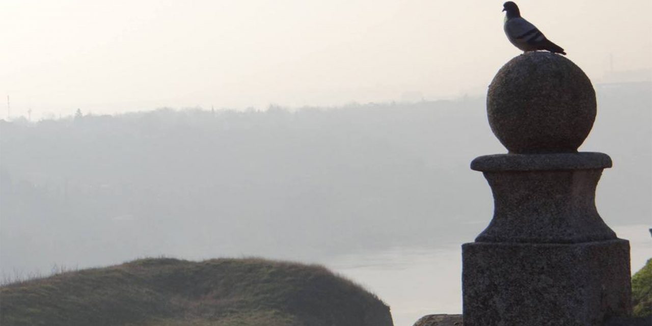 <span class="entry-title-primary">Mindennapi nepismenségünket add meg nekünk ma</span> <span class="entry-subtitle">A konkrét gondolatok útvesztőjében, avagy fiak és borjak takarodója a trollportálon</span>