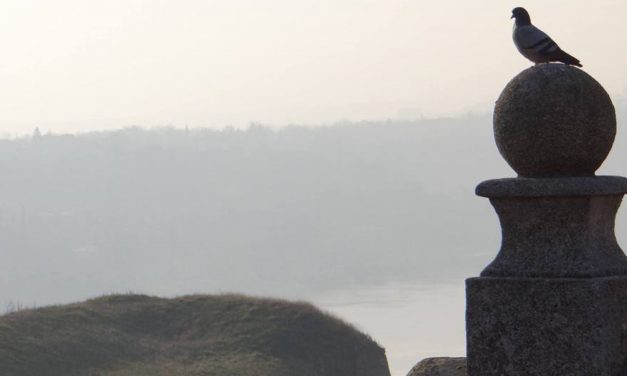 <span class="entry-title-primary">Mindennapi nepismenségünket add meg nekünk ma</span> <span class="entry-subtitle">A konkrét gondolatok útvesztőjében, avagy fiak és borjak takarodója a trollportálon</span>