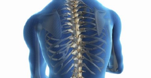 Szavazatot és gerincet