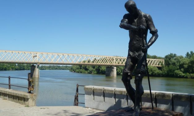 <span class="entry-title-primary">VMSZ szeretni Vučić, de nem beszélni magyar</span> <span class="entry-subtitle">A szerb beterjesztő is látta, hogy vállalhatatlan a magyar szövegváltozat, amelyről a Vajdasági Magyar Szövetségnek kellett volna gondoskodnia</span>