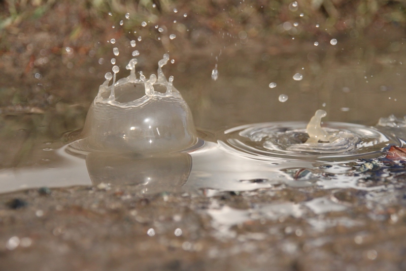 <span class="entry-title-primary">forróvíz-visszatérővezeték a fűtési ellenáramú vezetékhez</span> <span class="entry-subtitle">Laár András verse</span>