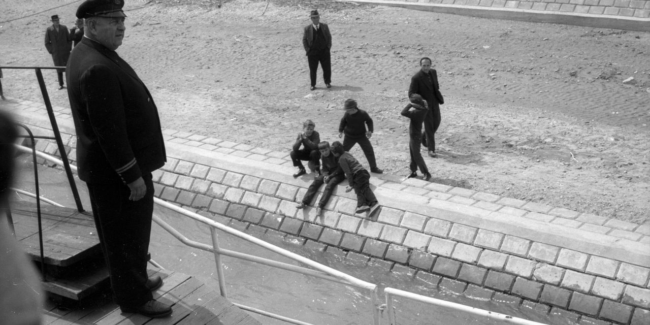 Ki találkozott Harry Potterrel, amint itt suhant seprűjén Újvidék felett?