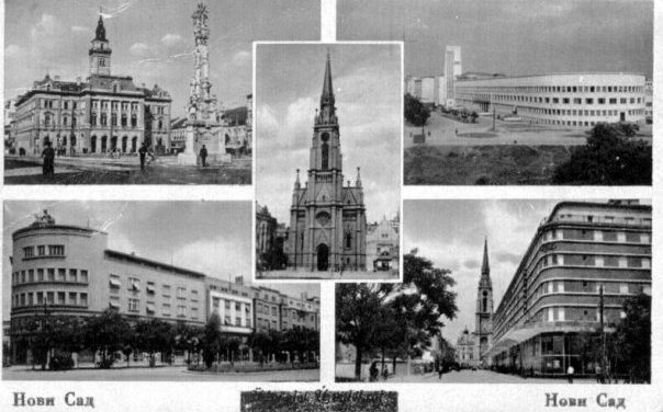 Vajon kiigazodnál Harry Potter világában?