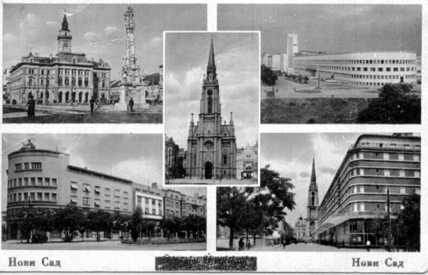 Vajon kiigazodnál Harry Potter világában?