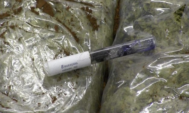 Két szerb állampolgár és 62 kiló marihuána – VIDEÓ