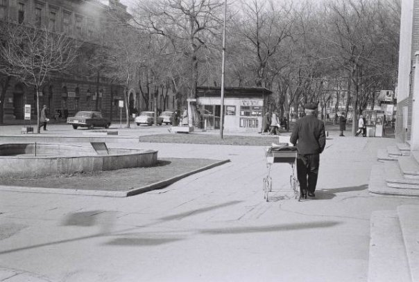Te megértenéd még azokat a szavakat, amelyek dédanyáinknak is újak voltak?