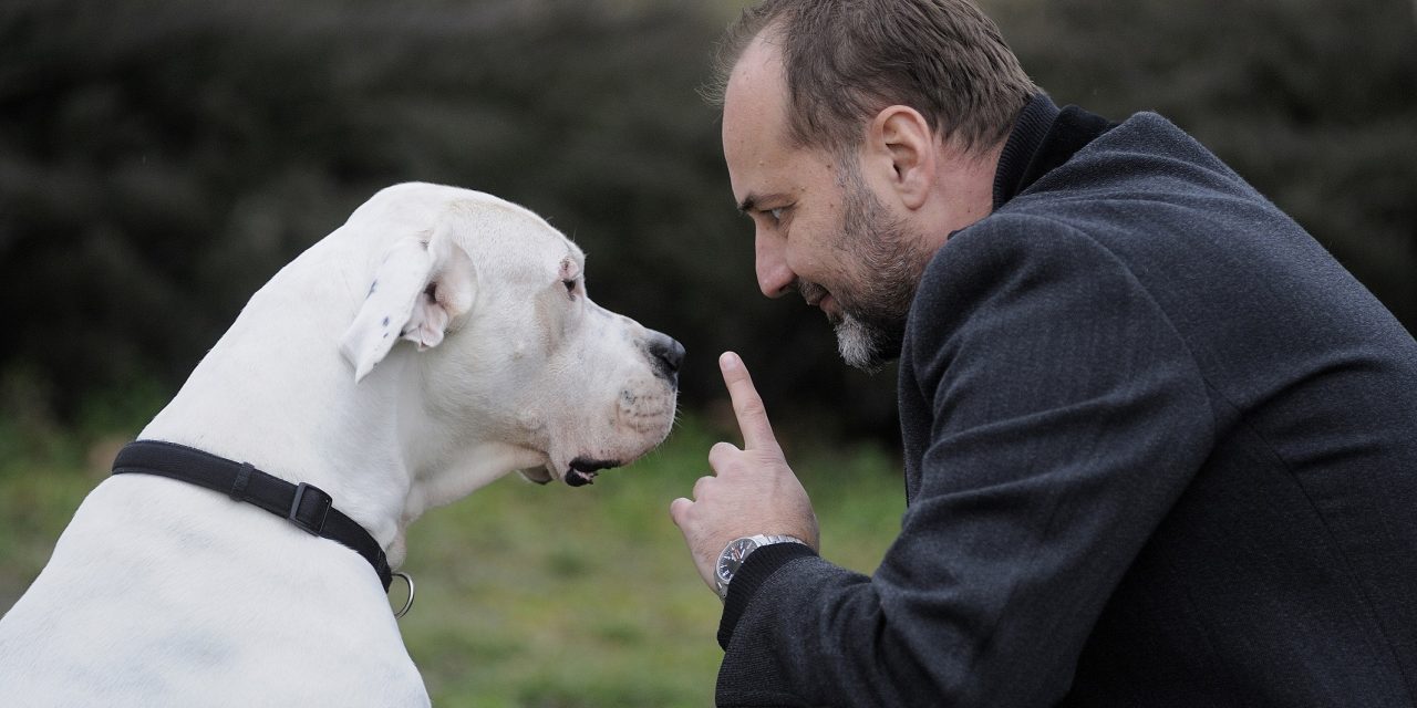 <span class="entry-title-primary">Janković indulhat az elnökválasztáson…</span> <span class="entry-subtitle">… attól függetlenül, hogy a szkupstina nem erősítette meg a lemondását</span>