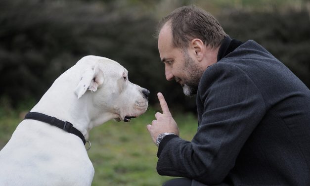 <span class="entry-title-primary">Janković indulhat az elnökválasztáson…</span> <span class="entry-subtitle">… attól függetlenül, hogy a szkupstina nem erősítette meg a lemondását</span>