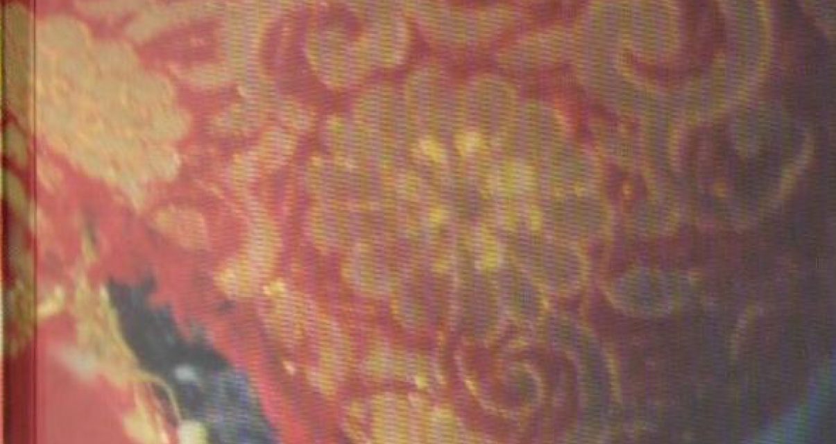 <span class="entry-title-primary">Névmutató</span> <span class="entry-subtitle">A Szabad Magyar Szó versrovatának szerzői katalógusa</span>