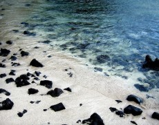 <span class="entry-title-primary">Időhurokban érlelt paramnézia</span> <span class="entry-subtitle"> Csornyij Dávid verse</span>