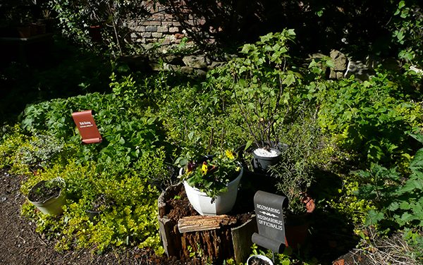 <span class="entry-title-primary">Ökokert találkozó Magyarkanizsán</span> <span class="entry-subtitle">Magyarkanizsa, 2017. március 16., Helyszín: Dobó Tihamér Képtár, Kezdés: 17.00</span>