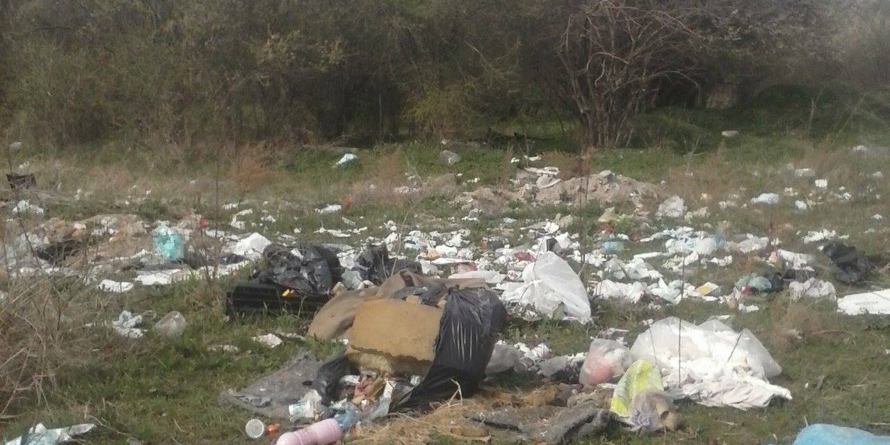 Szabadka, te drága! (FOTÓK)