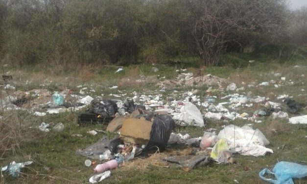 Szabadka, te drága! (FOTÓK)