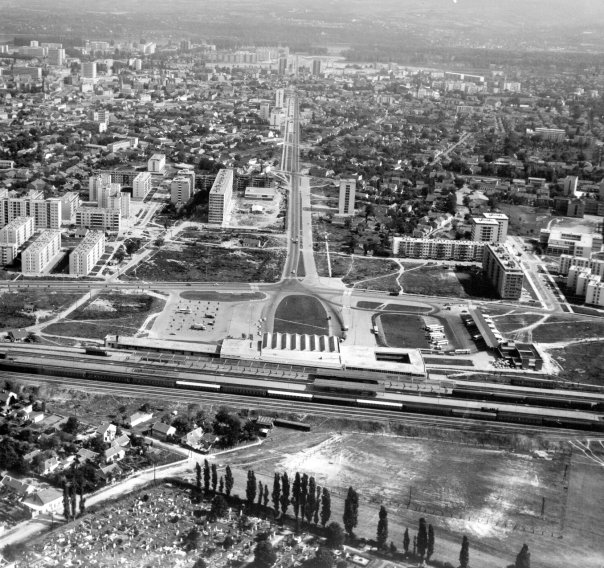 Ön fogja megalapítani az első vajdasági magyar harrypotterológiai tanszéket?