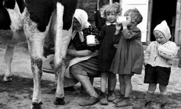 Olvasta már ezeket a verseket?