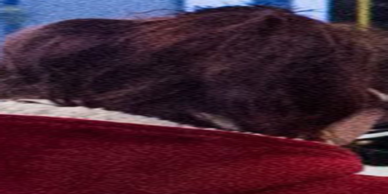 <span class="entry-title-primary">Névmutató</span> <span class="entry-subtitle">A Szabad Magyar Szó versrovatának szerzői katalógusa</span>