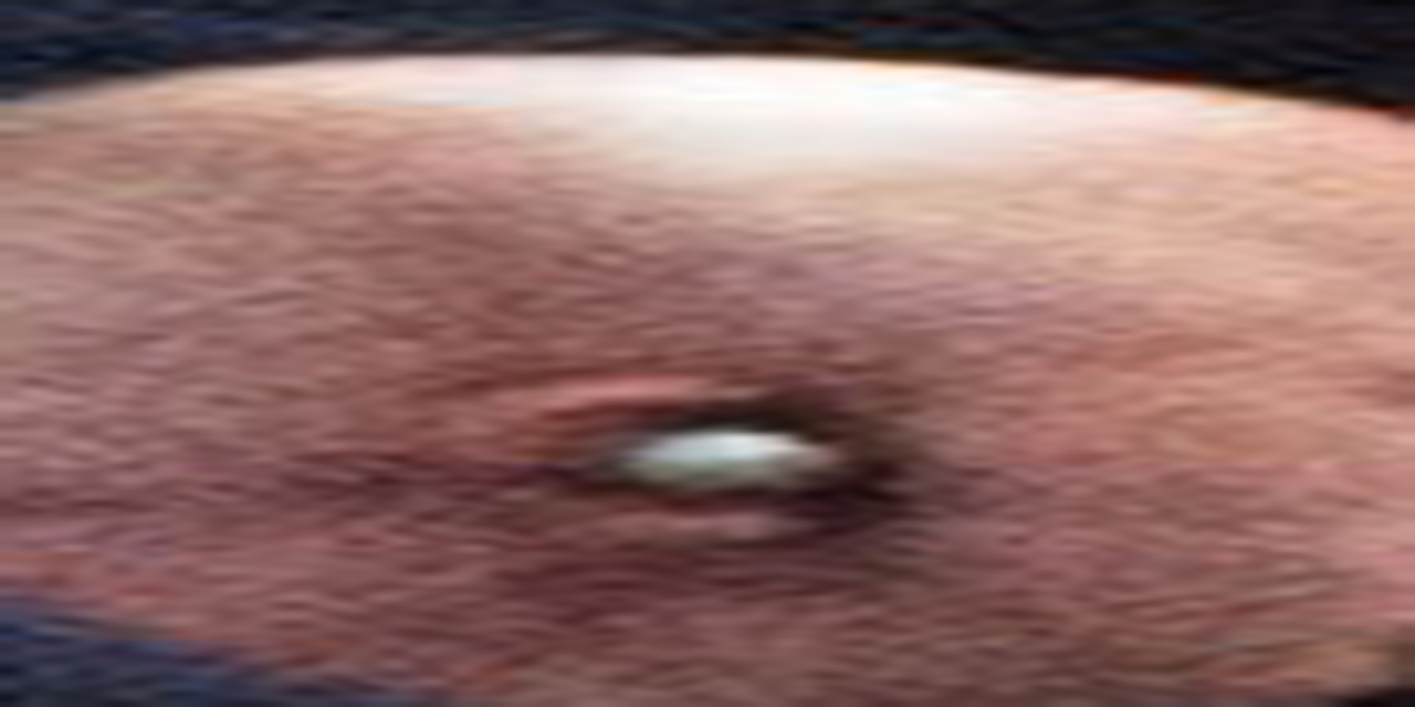 <span class="entry-title-primary">Címmutató</span> <span class="entry-subtitle">A Szabad Magyar Szó versrovatának címek szerint rendezett katalógusa</span>