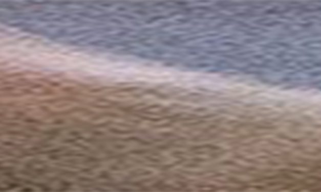 <span class="entry-title-primary">Az Alap</span> <span class="entry-subtitle">Szent II. János Pál pápa verse a Pásztor és forrás című ciklusból</span>