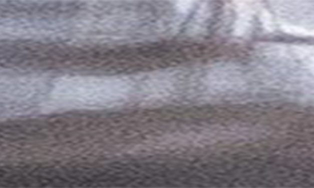 <span class="entry-title-primary">csupasz</span> <span class="entry-subtitle">Nebojsza István verse</span>