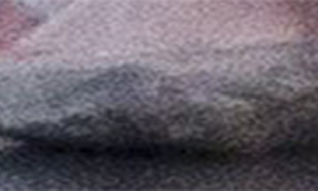 <span class="entry-title-primary">várakozás</span> <span class="entry-subtitle">Milena Marković verse</span>