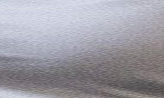 <span class="entry-title-primary">Kerítés</span> <span class="entry-subtitle">Danijel Dragojević verse</span>